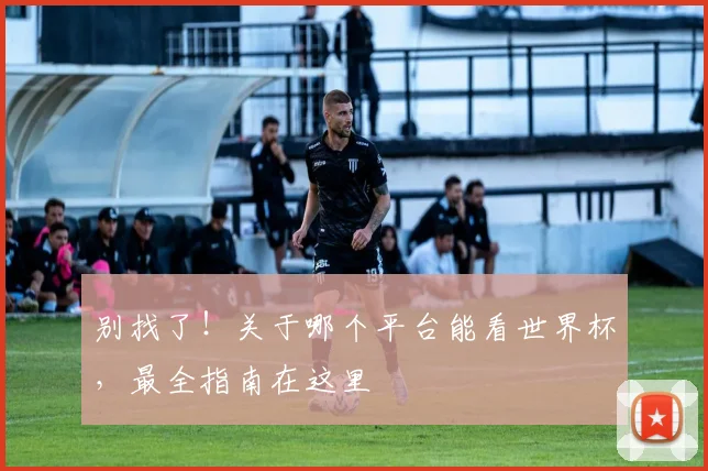 别找了！关于哪个平台能看世界杯，最全指南在这里
