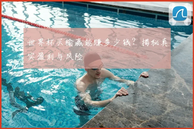 世界杯买输赢能赚多少钱？揭秘真实盈利与风险