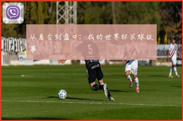 从看台到盘口:我的世界杯买球故事