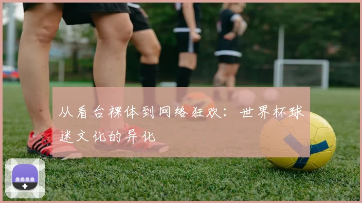 从看台裸体到网络狂欢：世界杯球迷文化的异化