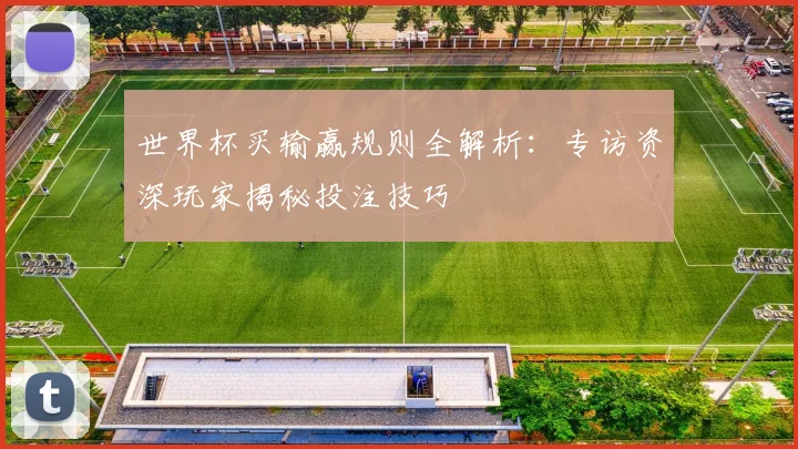 世界杯买输赢规则全解析:专访资深玩家揭秘投注技巧