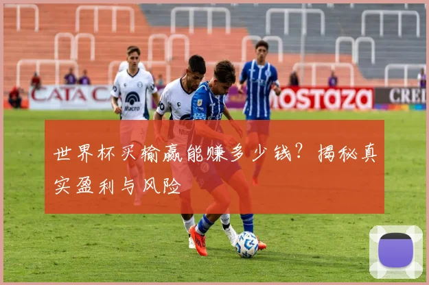 世界杯买输赢能赚多少钱?揭秘真实盈利与风险