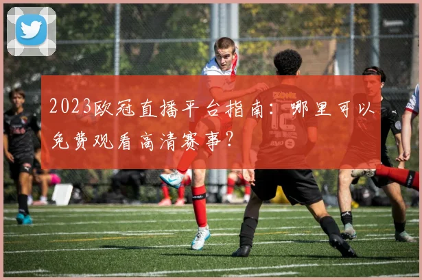 2023欧冠直播平台指南：哪里可以免费观看高清赛事？