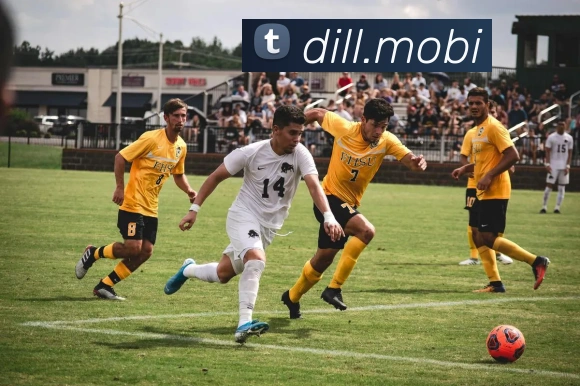 华体在线登录入口APP 封面图